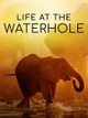 Life at the Waterhole
