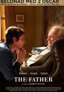 The Father poster image