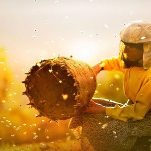 "Honeyland photo 11"