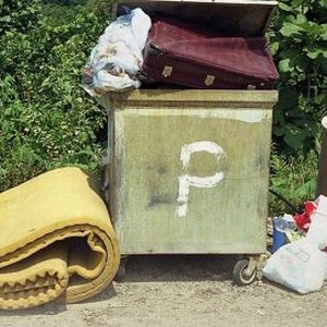 Polluting Paradise photo 4
