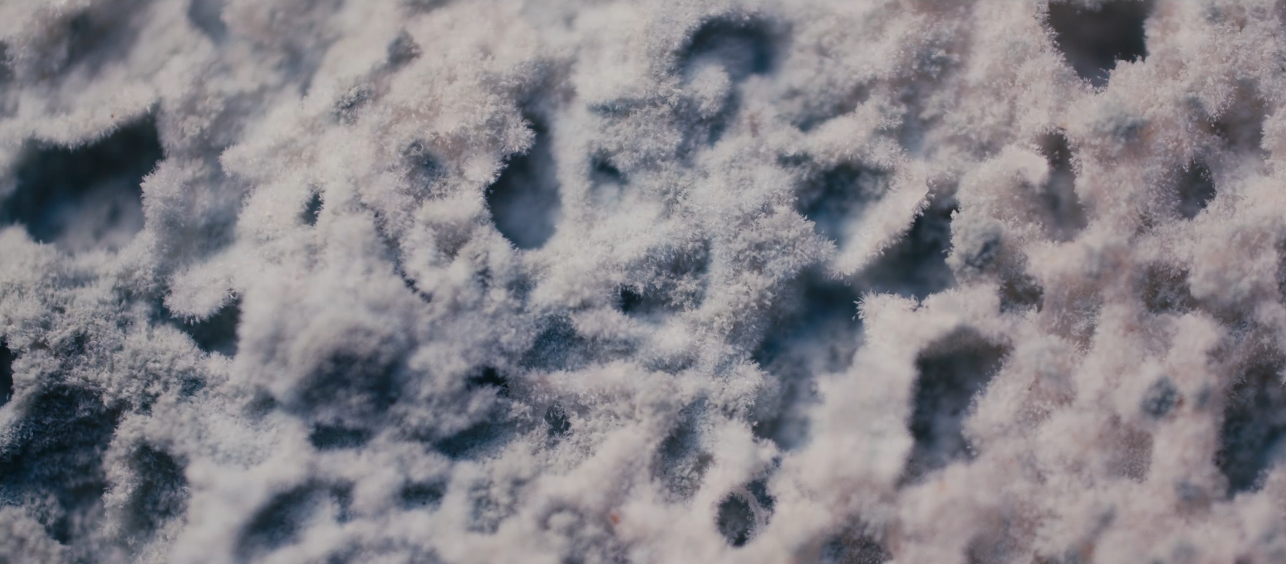 Masking Threshold Trailer 1 Trailers & Videos Rotten Tomatoes