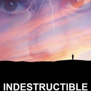Indestructible (2007) photo 9