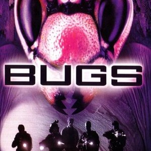 Bugs photo 7