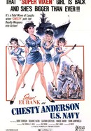 Chesty Anderson, U.S. Navy poster image