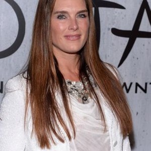 Brooke Shields at arrivals for TAO Downtown Opening Night Party, The Maritime Hotel, New York, NY September 28, 2013. Photo By: Eli Winston/Everett Collection