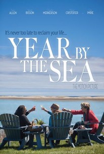 Year by the Sea poster