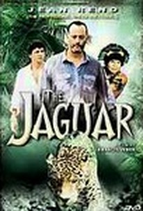 Le jaguar 1996