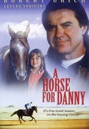A Horse for Danny poster image