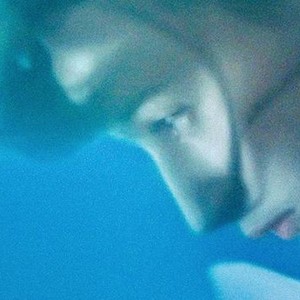 Jellyfish photo 7