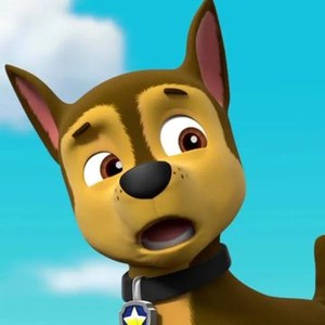 Zuma, Adventures of the PAW Patrol 2 Wiki