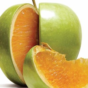 Freakonomics (2010) photo 16