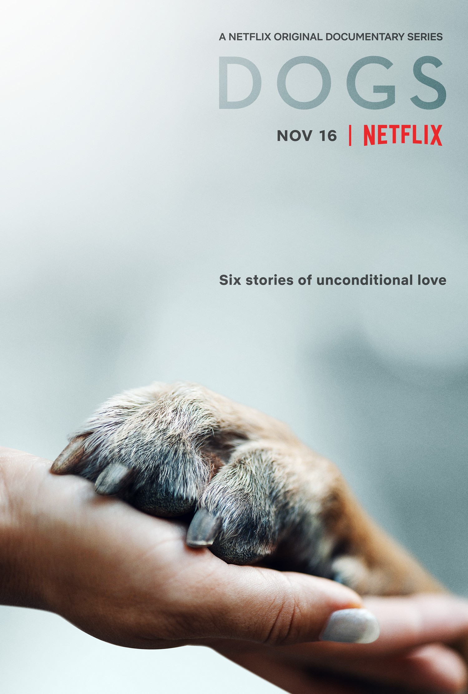 Dog food documentary on netflix best sale