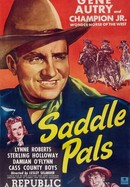 Saddle Pals poster image