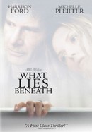 What Lies Beneath poster image