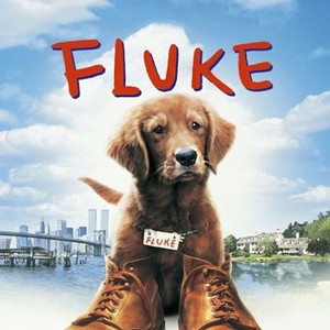 Fluke (1995) photo 14