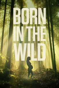 Watch trailer for Born in the Wild