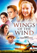 Wings of the Wind poster image