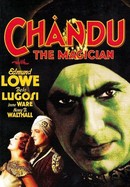 Chandu, the Magician poster image