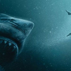 47 Meters Down: Uncaged photo 1