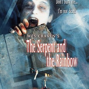 The Serpent and the Rainbow (1988) photo 6