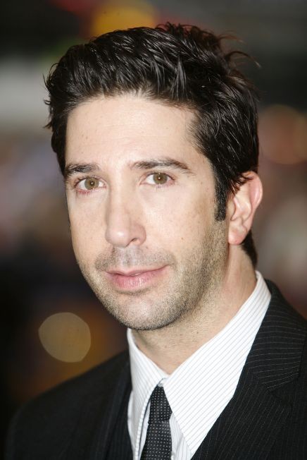 David Schwimmer - Rotten Tomatoes