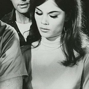 Destination Inner Space (1966) photo 3