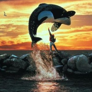 Free Willy Rotten Tomatoes