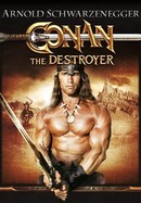 Conan the Destroyer poster image