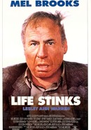 Life Stinks poster image