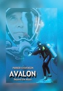 Avalon: Beyond the Abyss poster image