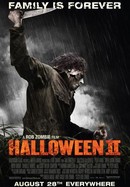 Halloween II poster image