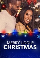 Merry Liddle Christmas poster image