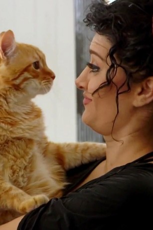 My cat from hell guilt store stricken guardian