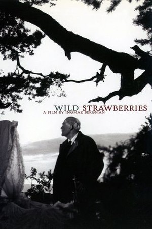 Wild Strawberries poster