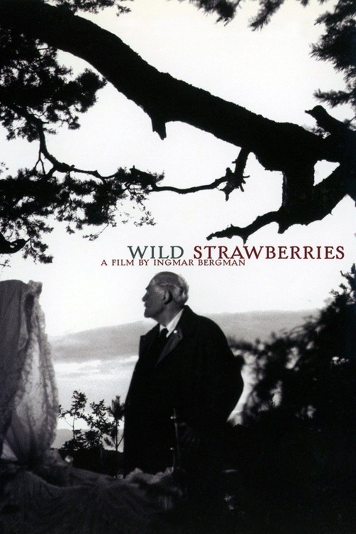 Wild Strawberries poster