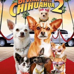 Beverly Hills Chihuahua 2 - Rotten Tomatoes