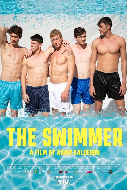 The Swimmer poster