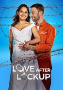 Love After Lockup poster image