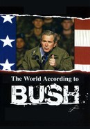 The World According to Bush poster image