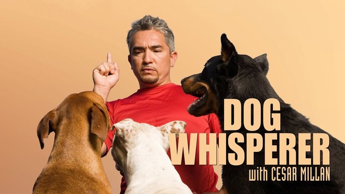 Whisperer With Cesar Amazon Prime Dog Whisperer Show Dog Whisperer