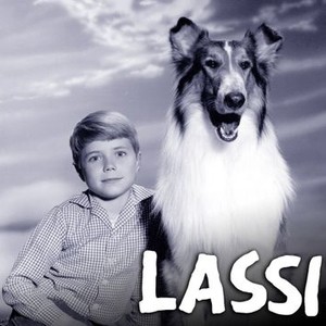"Lassie photo 1"