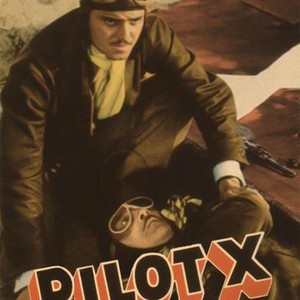 Pilot X photo 2