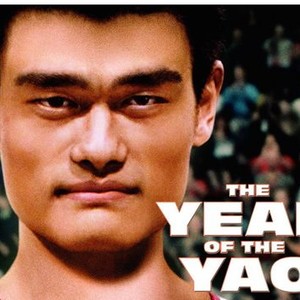 The Year of the Yao photo 14