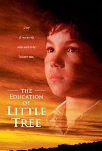 The Education of Little Tree poster