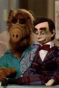 ALF: Season 2, Episode 23 | Rotten Tomatoes