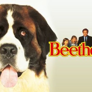 "Beethoven photo 6"