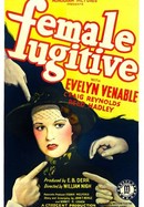 Female Fugitive poster image