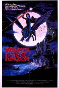 Watch trailer for Wizards of the Lost Kingdom