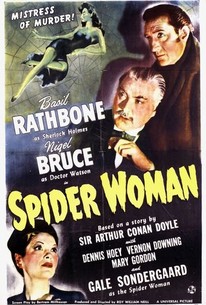 蜘蛛女 / Sherlock Holmes and the Spider Woman