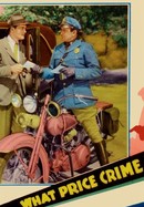 What Price Crime poster image